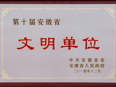 第十屆安徽省文明單位