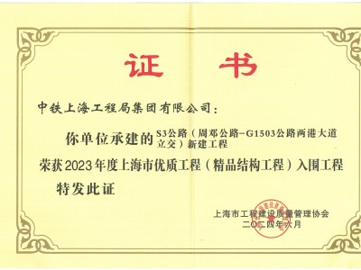 上海S3公路項目