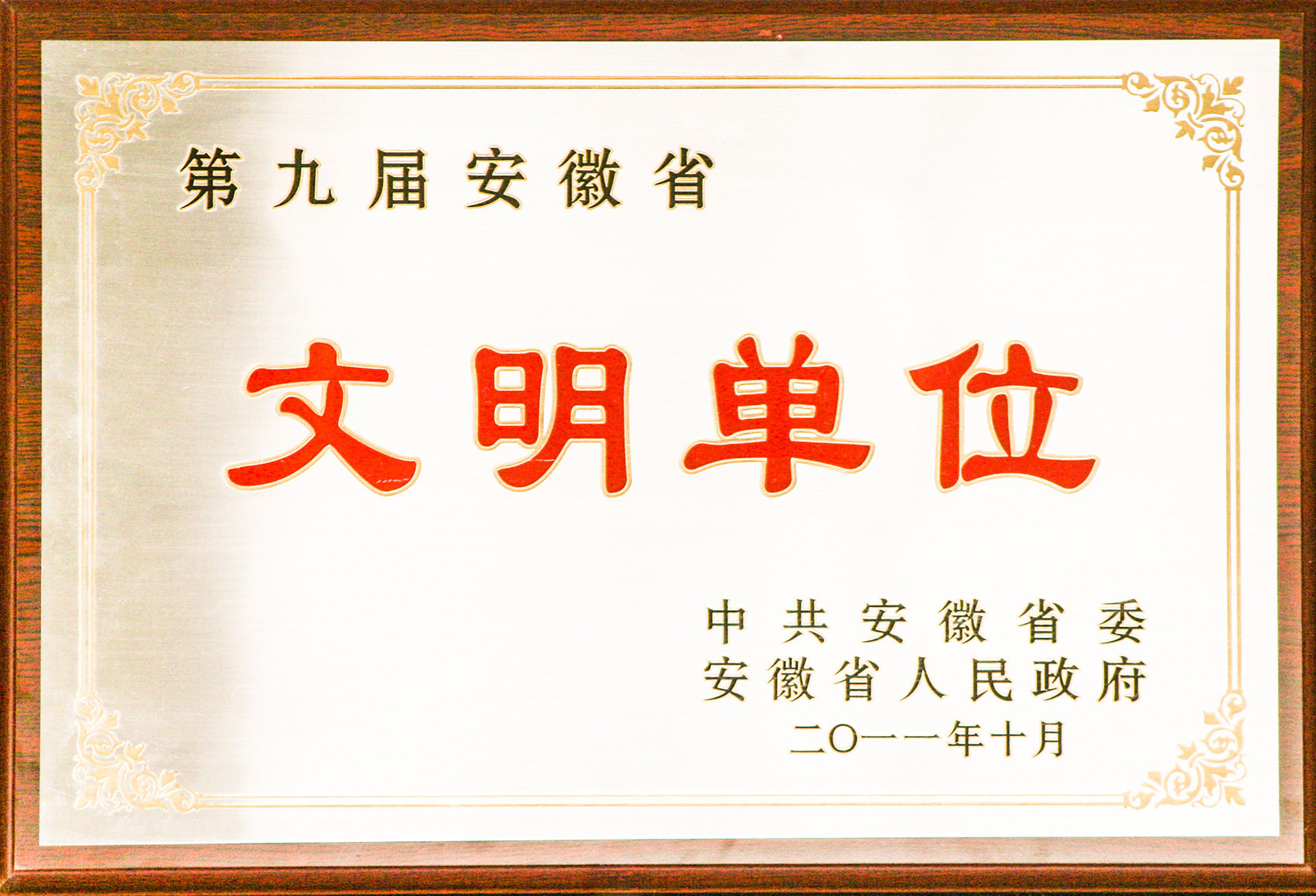 第九屆安徽省文明單位