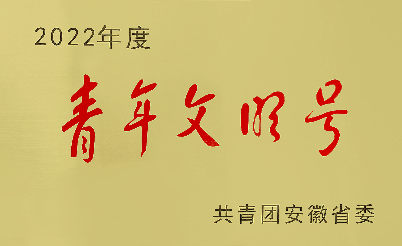 蕪湖軌道交通項(xiàng)目經(jīng)理部