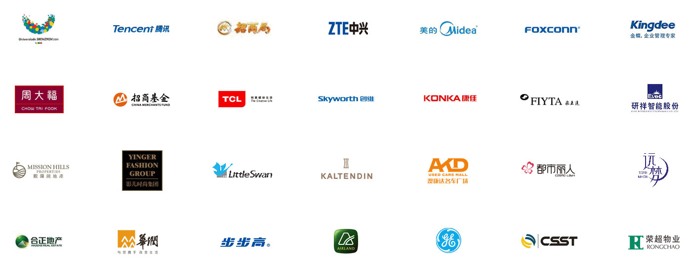 500強集團公司網站建設供應商